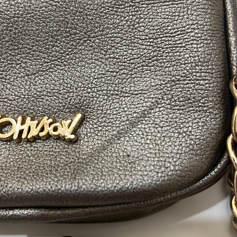 RARE BETSEY JOHNSON Pewter Leather Crossbody Chain Strap Purse with Rose Buttons